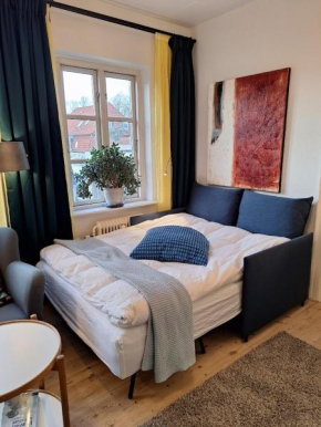 Hyggeligt værelse i downtown Roskilde, Roskilde